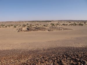 Umm Ruweim in the Wadi Abu Dom (photo: WADI)